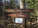 Hohes Venn - Von Ternell nach Reinartzhof und Herzogenhügel - Ostbelgien.Net