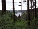 Eupen Wesertalsperre: Durch den Raerener Wald - Ostbelgien.Net