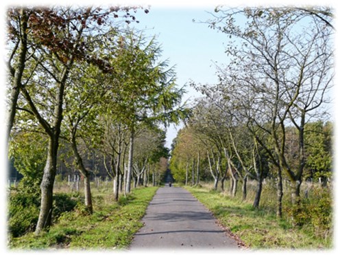 talspereemospert_5