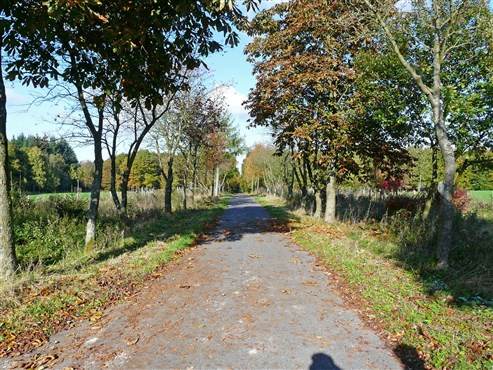 Weg von Mospert zum Parkplatz Mosperterweg