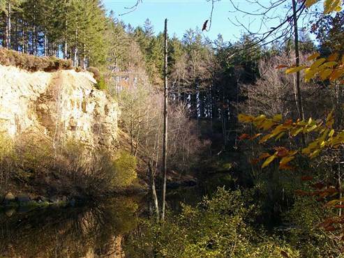 Herbstliche Stimmung