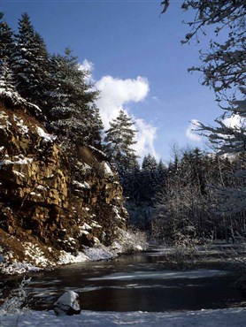 Der Winter bringt klare Farben