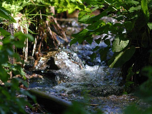 Quelle und Bach: Ursprung des Wasserkreislaufs