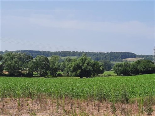 Grundstücke von 905,3m²  in Plombieres