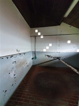 Einzigartig, am Waldesrand gelegene Reitanlage inklusive 7 Boxen, traumhaftem Reitplatz und Wiesen