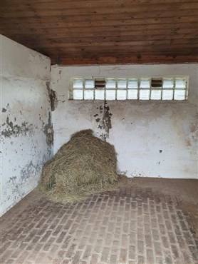 Einzigartig, am Waldesrand gelegene Reitanlage inklusive 7 Boxen, traumhaftem Reitplatz und Wiesen