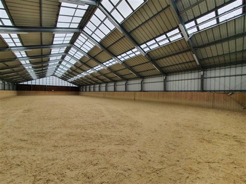 Einzigartig, am Waldesrand gelegene Reitanlage inklusive 7 Boxen, traumhaftem Reitplatz und Wiesen