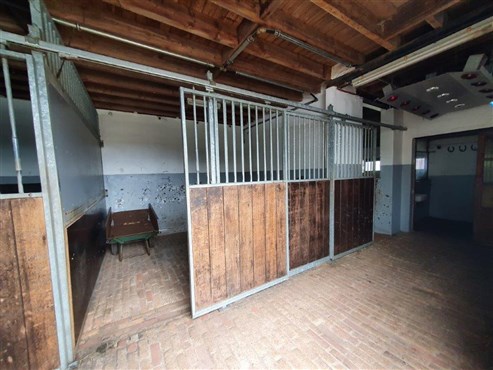 Einzigartig, am Waldesrand gelegene Reitanlage inklusive 7 Boxen, traumhaftem Reitplatz und Wiesen