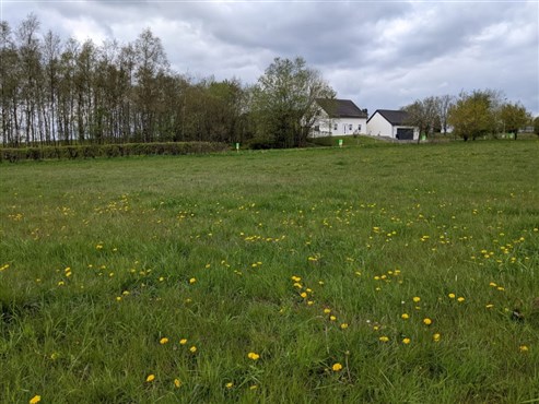 Grundstück in Wohngebiet mit ländlichem Charakter - MANDERFELD 