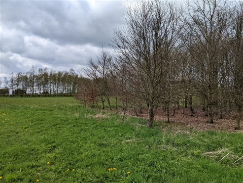 Grundstück in Wohngebiet mit ländlichem Charakter - MANDERFELD 