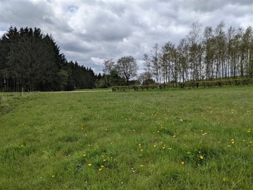 Grundstück in Wohngebiet mit ländlichem Charakter - MANDERFELD