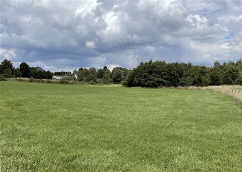 Grundstück in Wohngebiet mit ländlichem Charakter - MANDERFELD