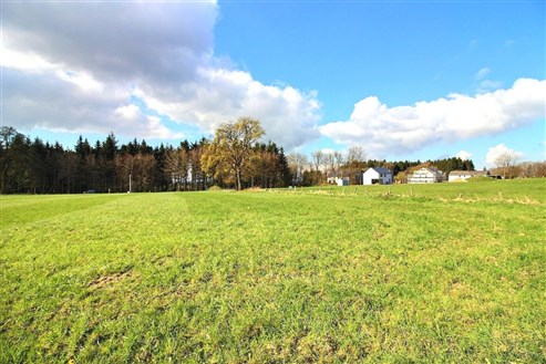 Terrain à bâtir - lot 4 - TAILLES (Houffalize)