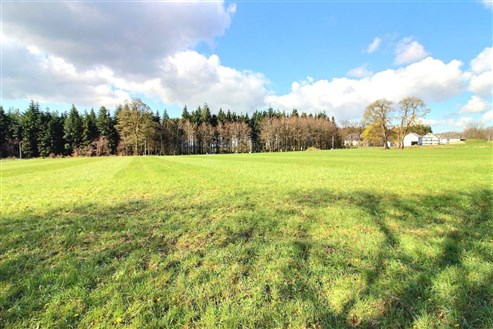 Terrain à bâtir - lot 4 - TAILLES (Houffalize)