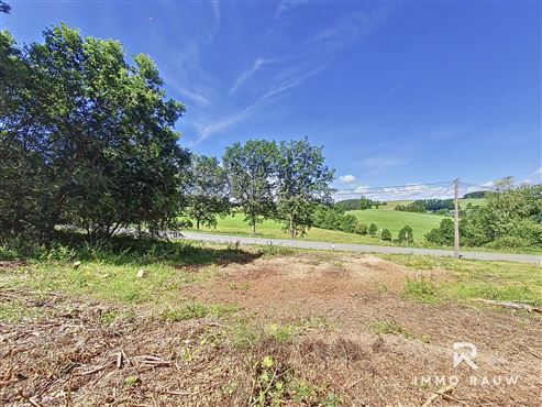 Attraktives Baugrundstück an der N62 in Lengeler/Burg Reuland – Perfekte Lage nahe der luxemburgischen Grenze