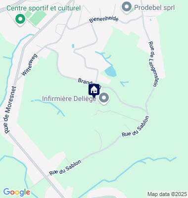 Google Maps Karte der Immobilien-Adresse