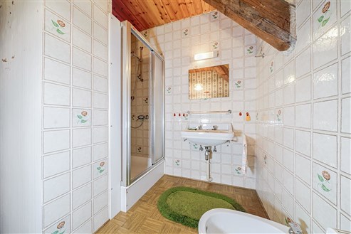 Immeuble polyvalent avec grand jardin et potentiel au centre de Bullange