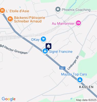 Google Maps Karte der Immobilien-Adresse