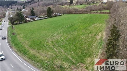 Seltene Gelegenheit für Investoren und Bauträger! Baugrundstück mit 12.617 m² und potenziellem Erschließungsprojekt für 11 EFH + Grünzone