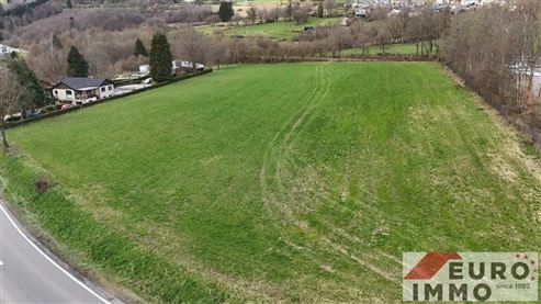 Seltene Gelegenheit für Investoren und Bauträger! Baugrundstück mit 12.617 m² und potenziellem Erschließungsprojekt für 11 EFH + Grünzone
