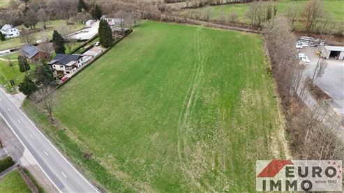 Seltene Gelegenheit für Investoren und Bauträger! Baugrundstück mit 12.617 m² und potenziellem Erschließungsprojekt für 11 EFH + Grünzone