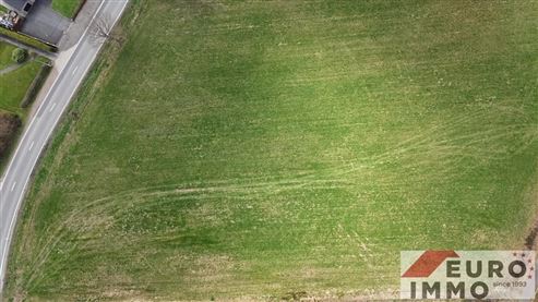 Seltene Gelegenheit für Investoren und Bauträger! Baugrundstück mit 12.617 m² und potenziellem Erschließungsprojekt für 11 EFH + Grünzone