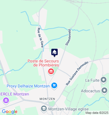 Google Maps Karte der Immobilien-Adresse