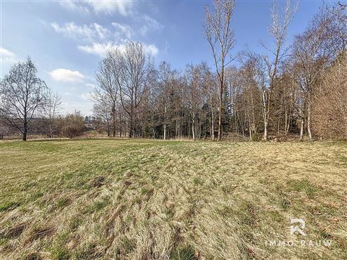 ?? Vielseitiges Einfamilienhaus mit großem Garten & Ausbaupotenzial in Büllingen zu kaufen– nahe Ravel und See! ??
