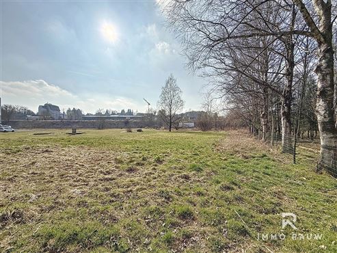 ?? Vielseitiges Einfamilienhaus mit großem Garten & Ausbaupotenzial in Büllingen zu kaufen– nahe Ravel und See! ??