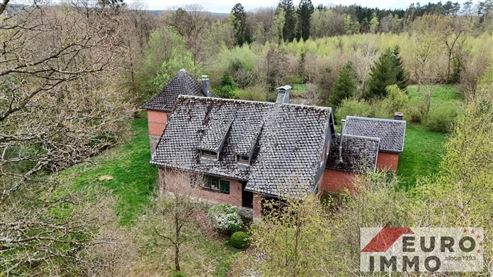 Ein Anwesen mit Charakter und Perspektive – Wohnen in einzigartiger Architektur und naturnaher Umgebung