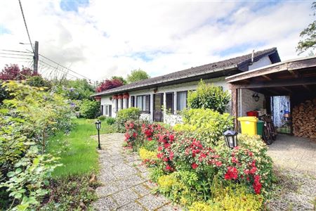Bungalow - LICHTENBUSCH - LICHTENBUSCH, Belgien 