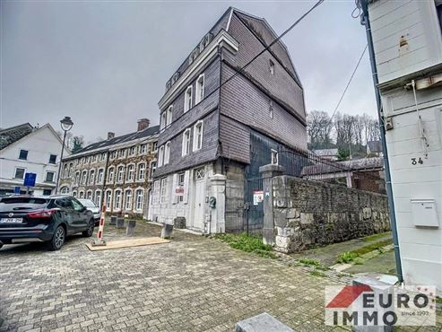 Charme der Vergangenheit-Raum für die Zukunft mit großem Entwicklunsspielraum. Einzigartiges Anwesen mit denkmalgeschütztem Blausteinhaus, Atelier, Baugrundstück sowie großer Halle und Garage