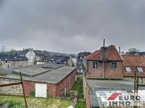 Charme der Vergangenheit-Raum für die Zukunft mit großem Entwicklunsspielraum. Einzigartiges Anwesen mit denkmalgeschütztem Blausteinhaus, Atelier, Baugrundstück sowie großer Halle und Garage