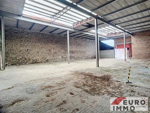 Charme der Vergangenheit-Raum für die Zukunft mit großem Entwicklunsspielraum. Einzigartiges Anwesen mit denkmalgeschütztem Blausteinhaus, Atelier, Baugrundstück sowie großer Halle und Garage