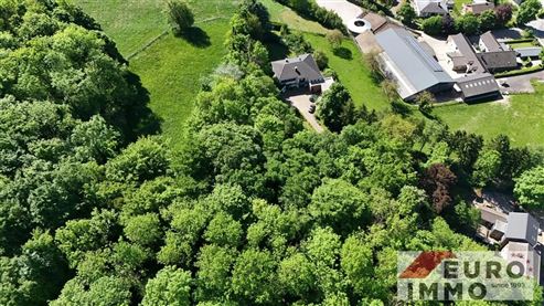 Raum für Lebensträume – Zwei Häuser voller Möglichkeiten in einzigartiger Naturlage am Dreiländereck – ideal für Generationenwohnen oder die perfekte Verbindung von Leben und Arbeiten