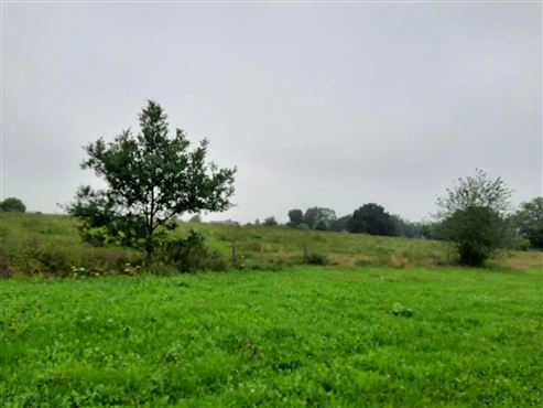 Einmalige Baugrundstücke für EFH und DHH  in variablen Größen im Ourtal des Dreiländerecks Belgien-Deutschland-Luxembourg
