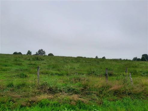 Einmalige Baugrundstücke für EFH und DHH  in variablen Größen im Ourtal des Dreiländerecks Belgien-Deutschland-Luxembourg