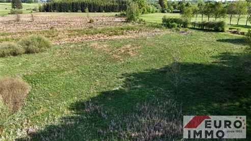 Naturliebhaber aufgepasst: Einzigartiges Baugrundstück in unmittelbarer Waldnähe mit eigenem Wasserlauf und vorhandener Genehmigung