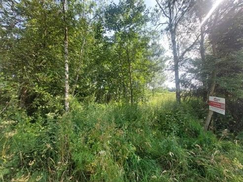 Naturliebhaber aufgepasst: Einzigartiges Baugrundstück in unmittelbarer Waldnähe mit eigenem Wasserlauf und vorhandener Genehmigung