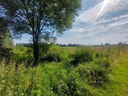Naturliebhaber aufgepasst: Einzigartiges Baugrundstück in unmittelbarer Waldnähe mit eigenem Wasserlauf und vorhandener Genehmigung