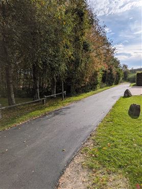 Naturliebhaber aufgepasst: Einzigartiges Baugrundstück in unmittelbarer Waldnähe mit eigenem Wasserlauf und vorhandener Baugenehmigung
