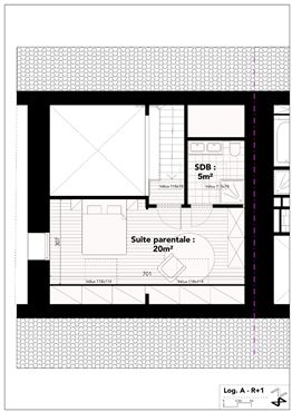 Bruchsteinhaus - Projekt ALTE MÜHLE - RAEREN