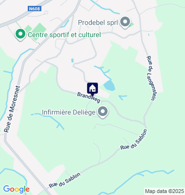 Google Maps Karte der Immobilien-Adresse