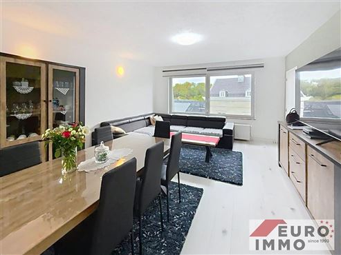 Frisch renovierte und komfortable Stadtwohnung mit Balkon und Garage