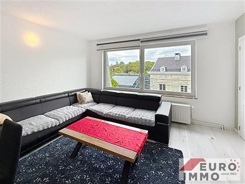 Frisch renovierte und komfortable Stadtwohnung mit Balkon und Garage