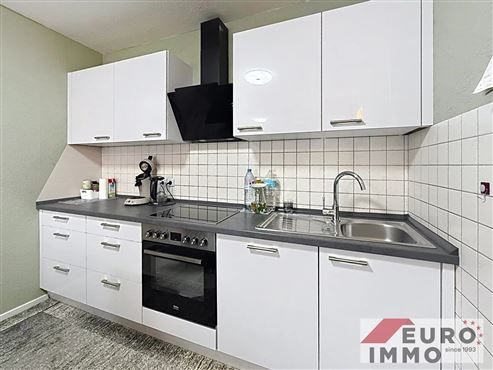 Frisch renovierte und komfortable Stadtwohnung mit Balkon und Garage