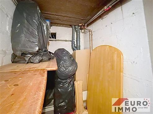 Frisch renovierte und komfortable Stadtwohnung mit Balkon und Garage
