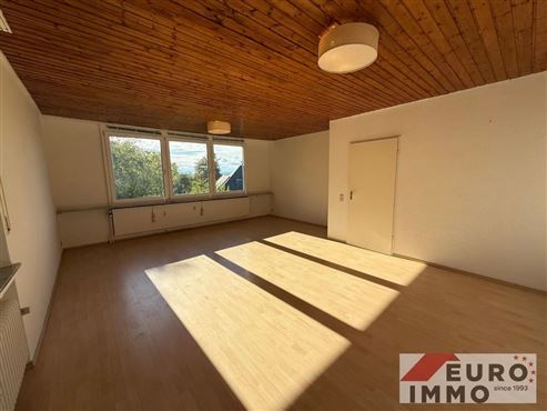 Starter-Immobilie für Naturliebhaber, Ruhesuchende und Grenzpendler – charmante Eigentumswohnung mit Garage in idyllischer Lage von Grünthal