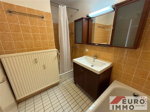 Starter-Immobilie für Naturliebhaber, Ruhesuchende und Grenzpendler – charmante Eigentumswohnung mit Garage in idyllischer Lage von Grünthal