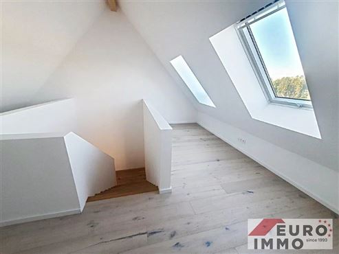 Stilvolles und modernes Wohnen nahe aller Annehmlichkeiten im Grenzgebiet – Duplex-Wohnung mit Gartennutzung und Garage